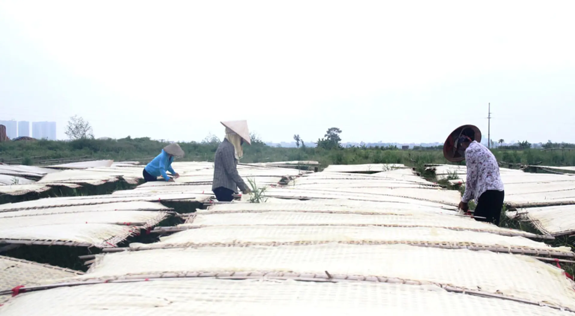 Xã Minh Khai, huyện Hoài Đức: Gắn sản xuất sạch với bảo vệ môi trường