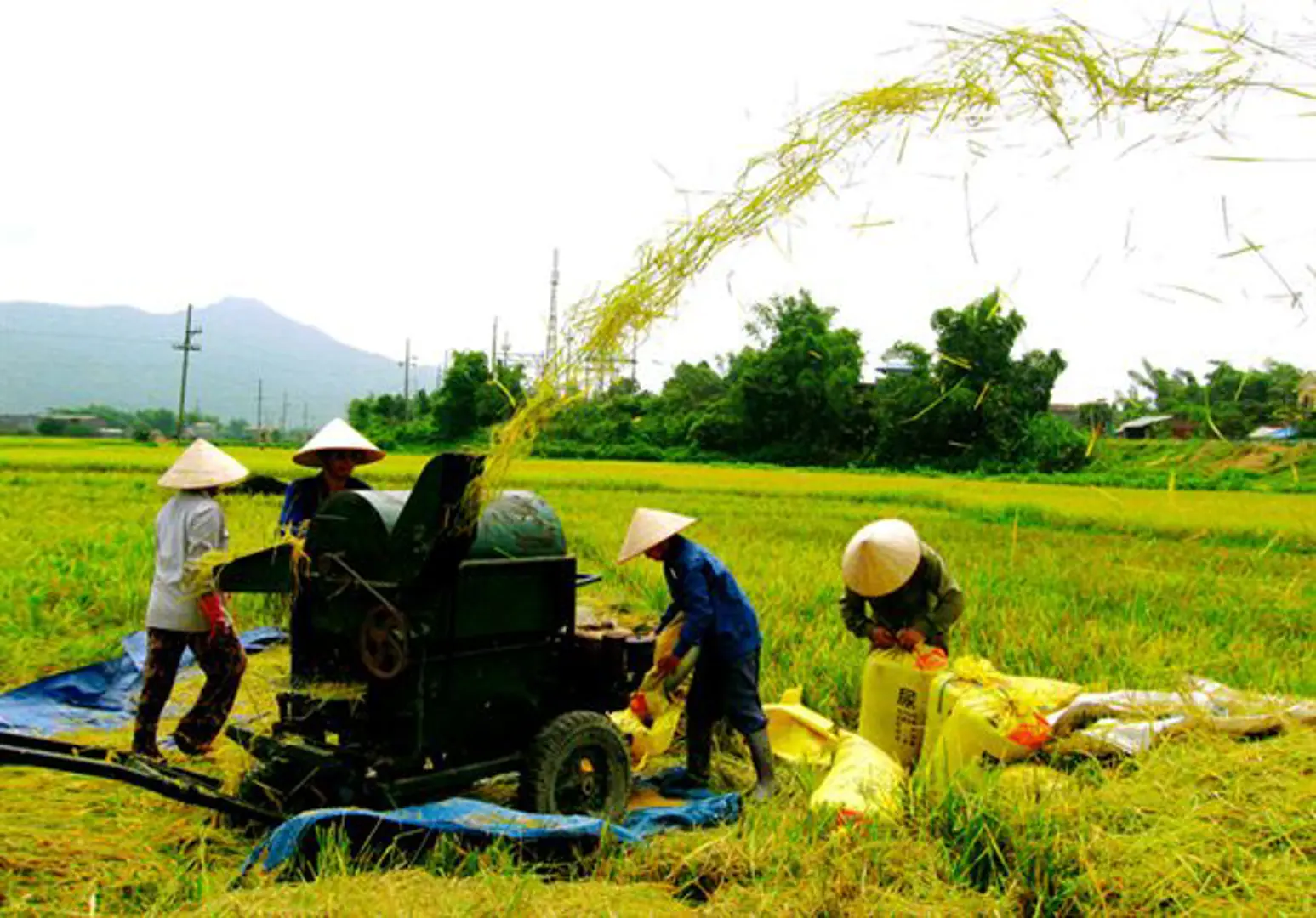 Phấn đấu cả nước có ít nhất 31% xã nông thôn mới