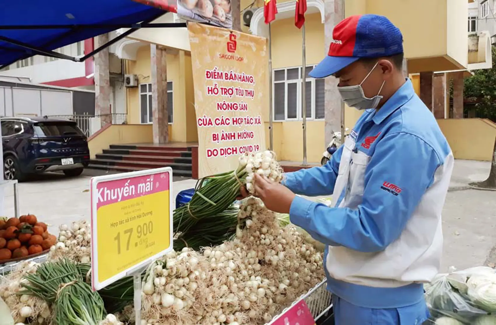 Co.opmart hỗ trợ doanh nghiệp nông sản Hà Nội tiêu thụ 30 tấn rau/tuần