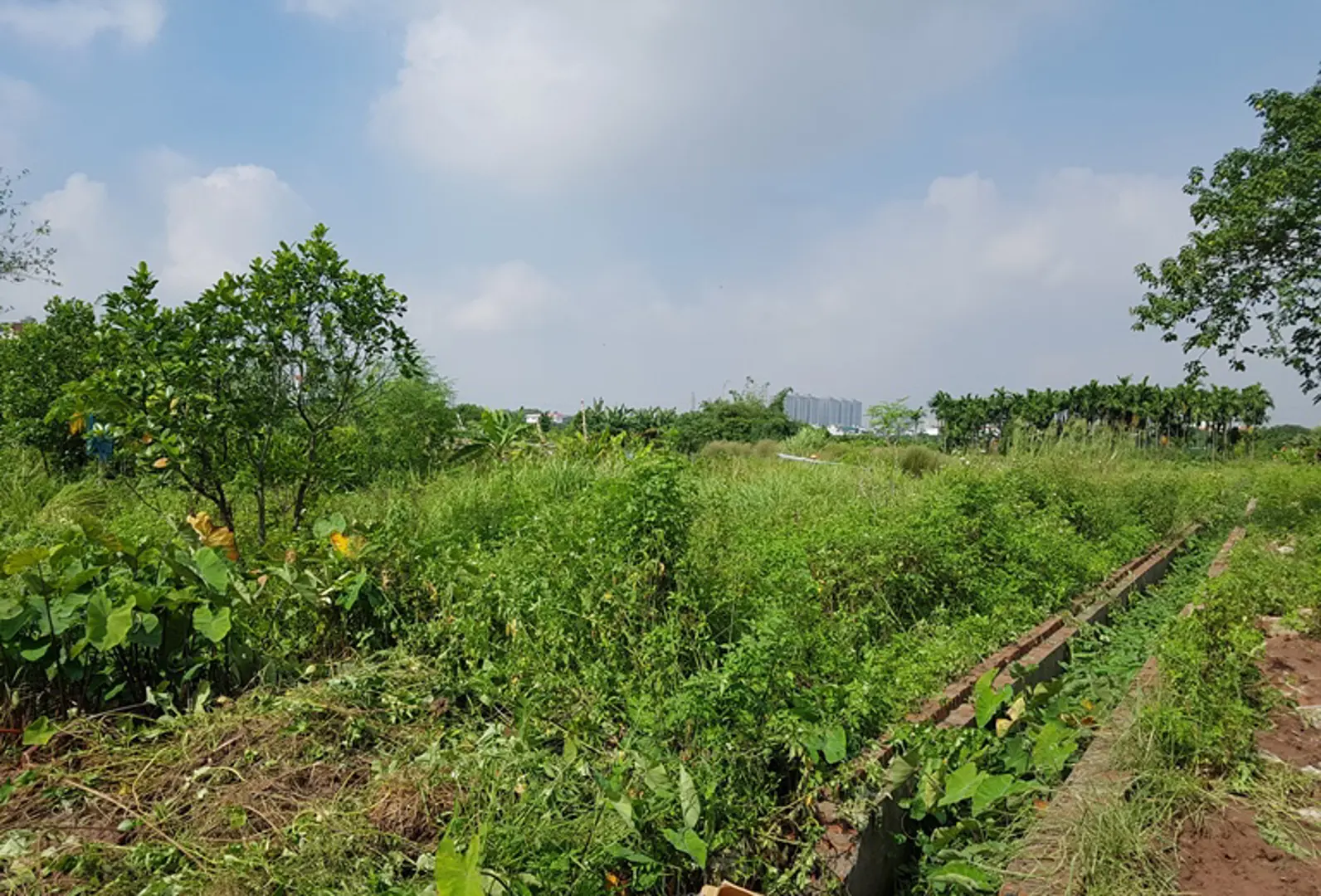 Hoàn thiện Thông tư hướng dẫn lập, điều chỉnh quy hoạch, kế hoạch sử dụng đất