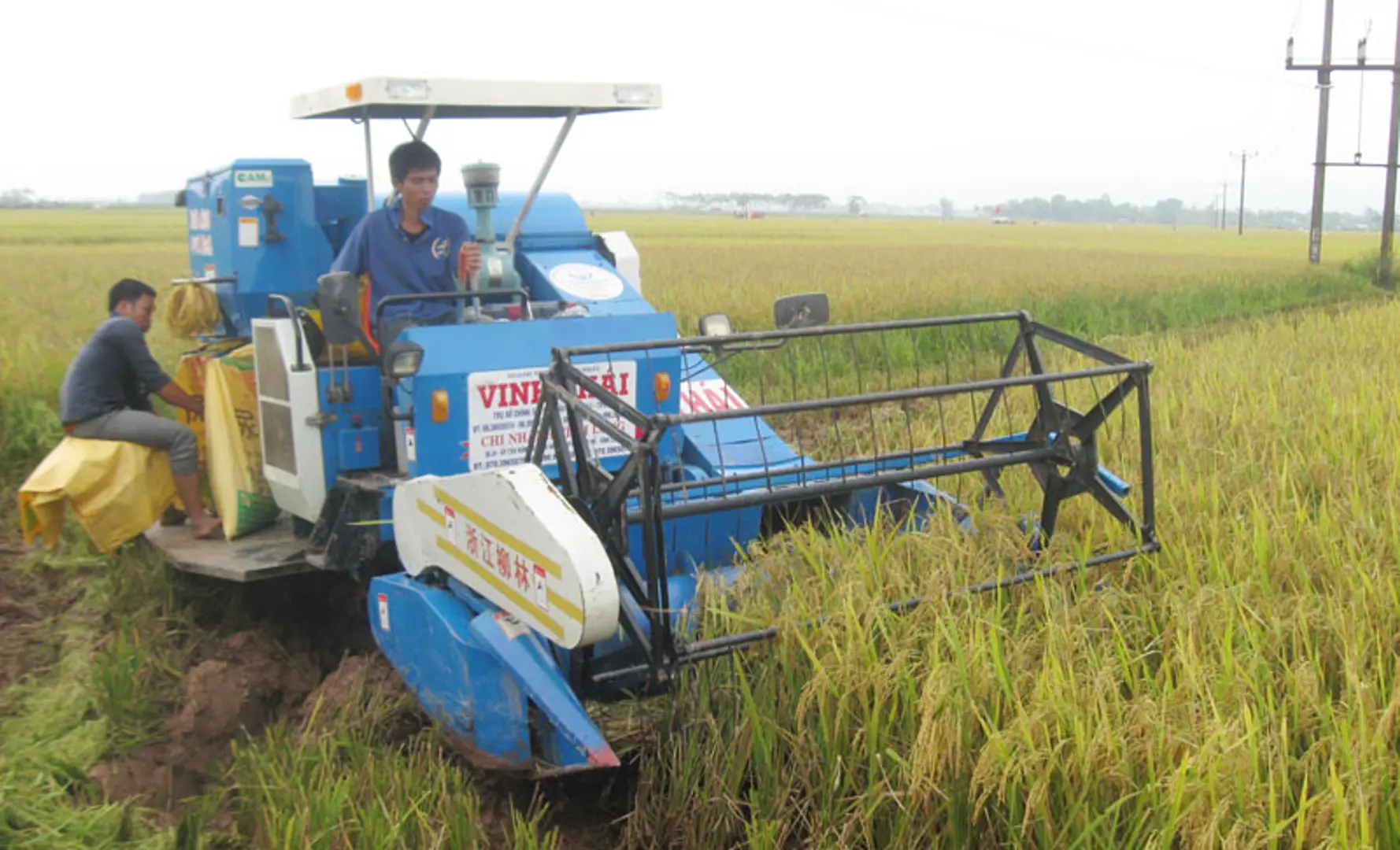 Cơ giới hóa nông nghiệp tại Hà Nội: Nền móng vững chắc cho sản xuất hàng hóa