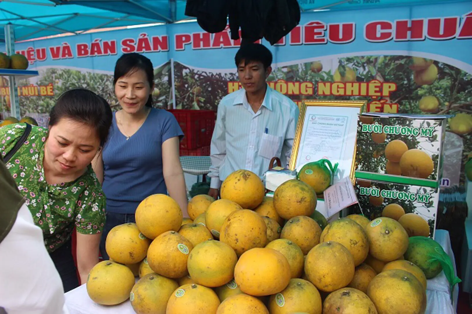 Cần “bà đỡ” phát triển sản phẩm OCOP ở Chương Mỹ