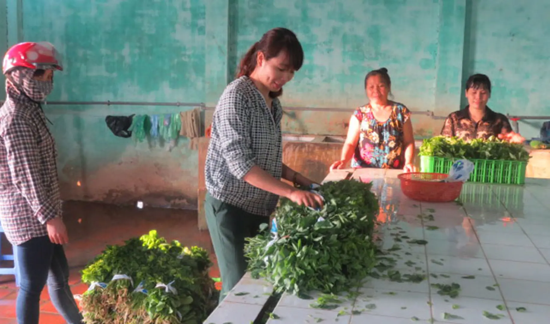 Hồi sinh vùng đất Yên Nghĩa