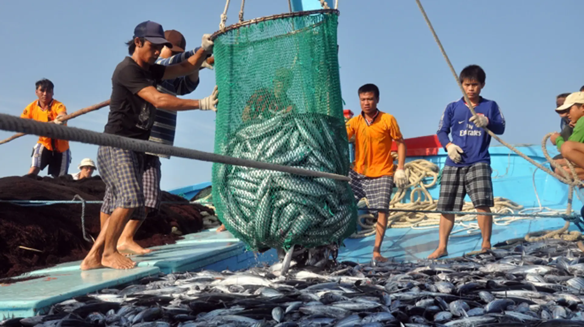 Tháng 6 hoàn thành bồi thường, hỗ trợ thiệt hại cho người dân vùng biển