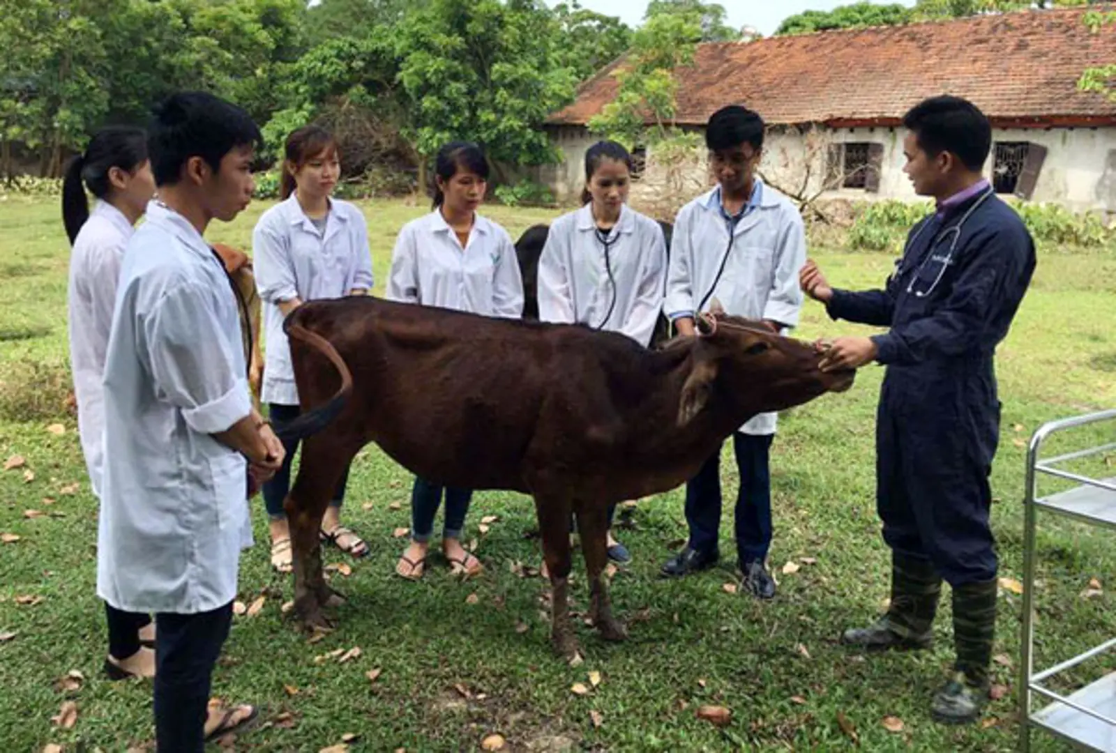 Thầy giáo trẻ và những giờ học không sách vở