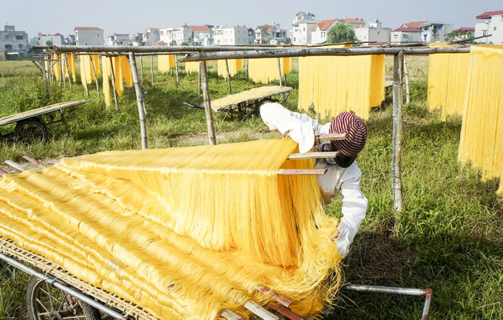 Miến Cự Đà vào vụ