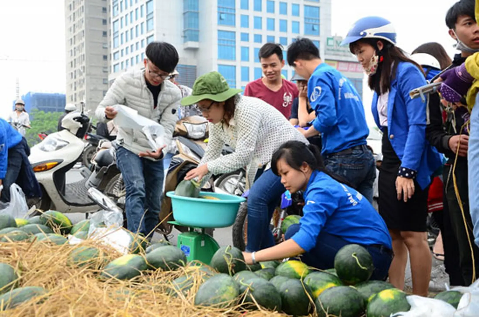 Chiến dịch "giải cứu" dưa hấu: Cần lắm những trái tim tình nguyện!