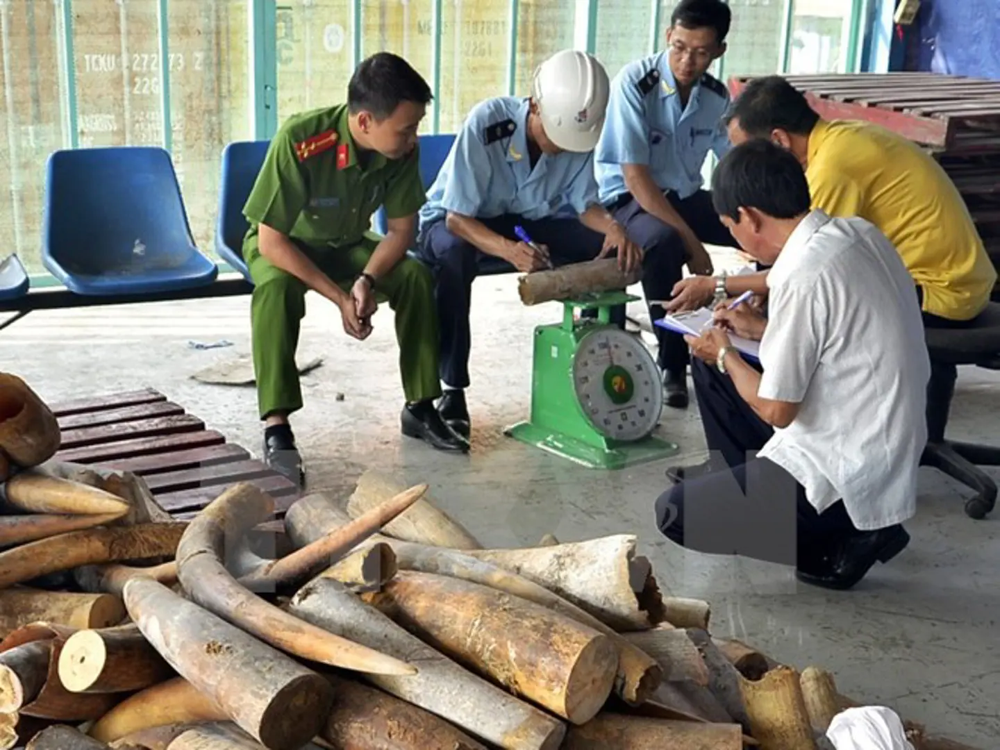 Phát hiện vụ vận chuyển sừng tê giác nguyên khối trị giá 4 tỷ đồng