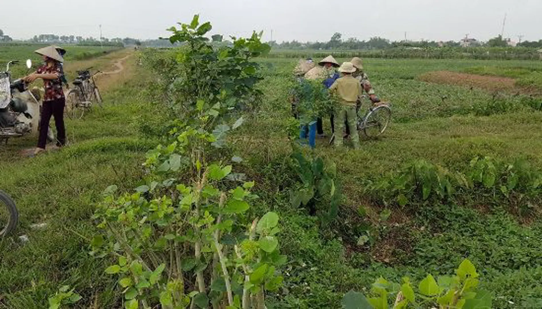 Thông tin mới nhất vụ 2 cháu bé bị sát hại ở Phú Xuyên