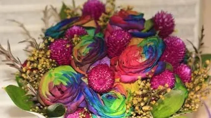Săn hoa dát vàng tặng nàng dịp lễ tình nhân 1 Săn hoa dát vàng tặng nàng dịp lễ tình nhân 1