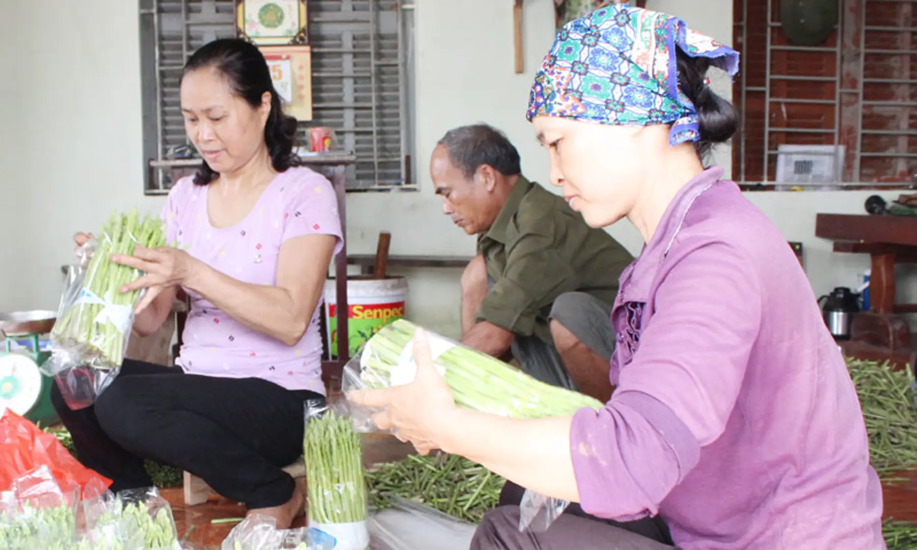 Hồng Thái đa dạng hóa các mô hình sản xuất