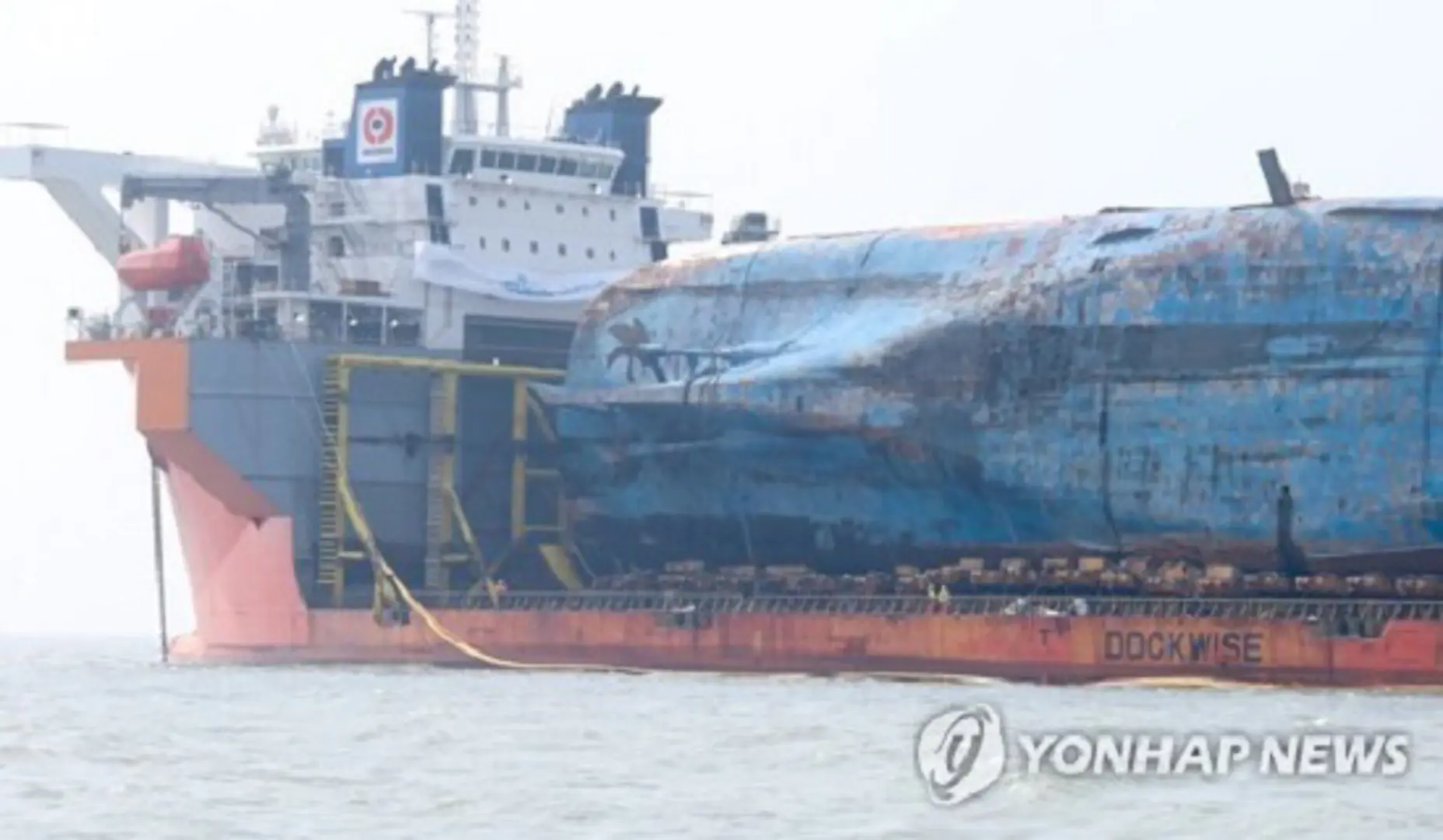 Hàn Quốc: Vật thể trong phà Sewol là xương động vật