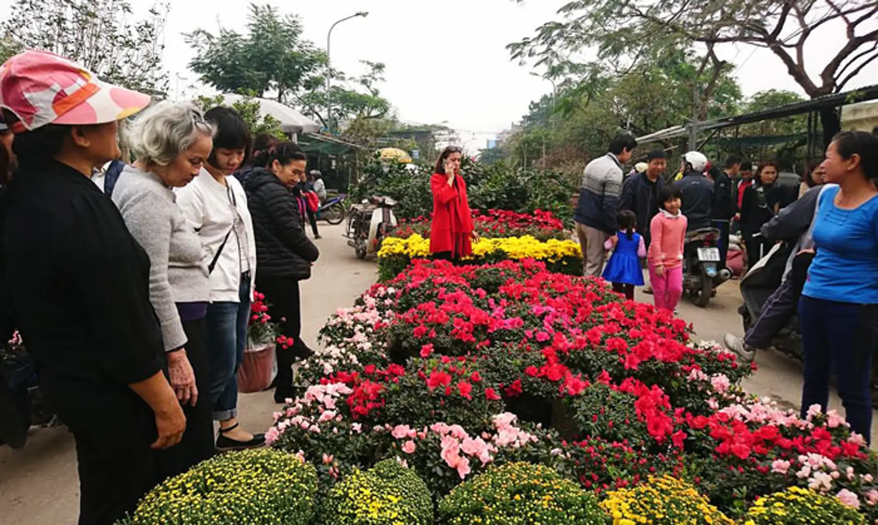 Nhộn nhịp chợ hoa ngày giáp Tết