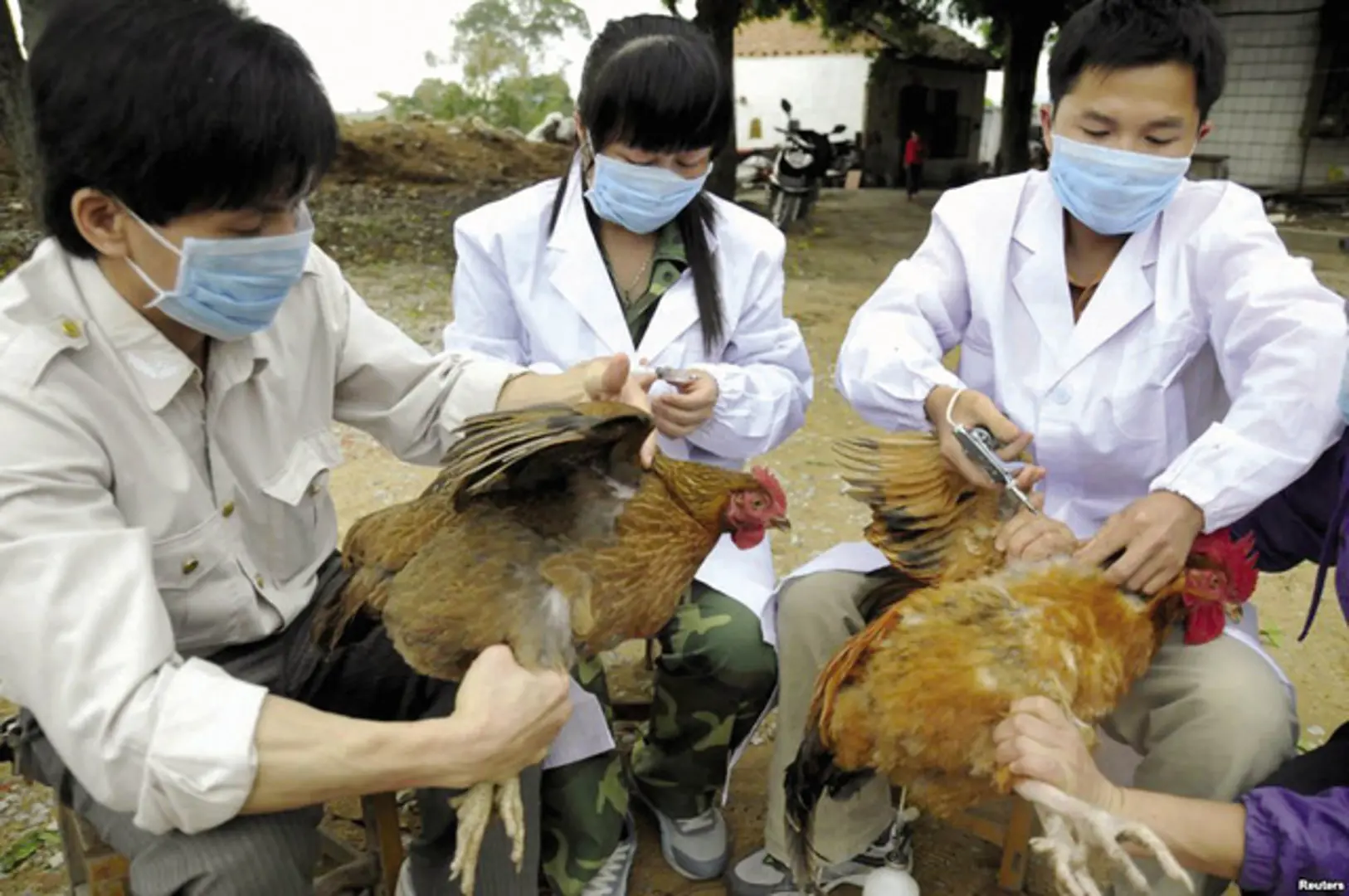 Huyện Ứng Hòa quyết liệt phòng chống dịch cúm A (H7N9)