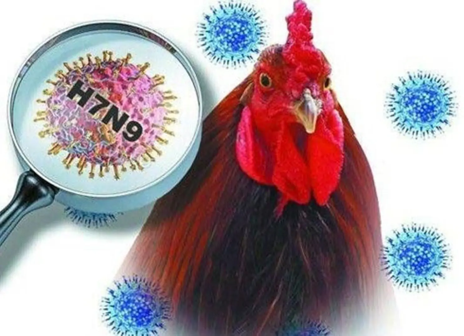 Virus cúm A/H7N9 thay đổi độc lực