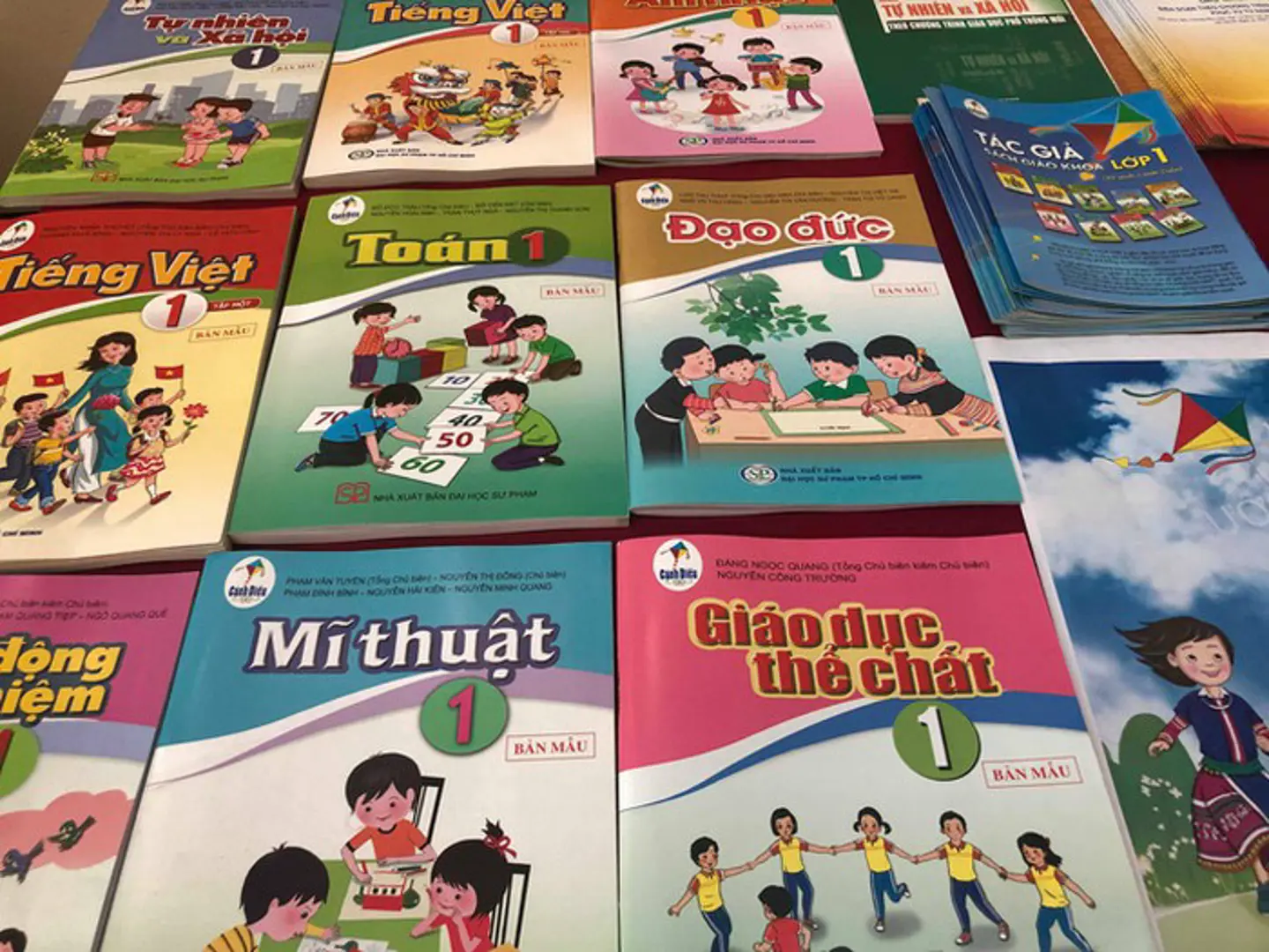 GS.TS Phạm Tất Dong: Hội đồng thẩm định phải chịu trách nhiệm về “sạn” sách Tiếng Việt 1 của nhóm Cánh Diều