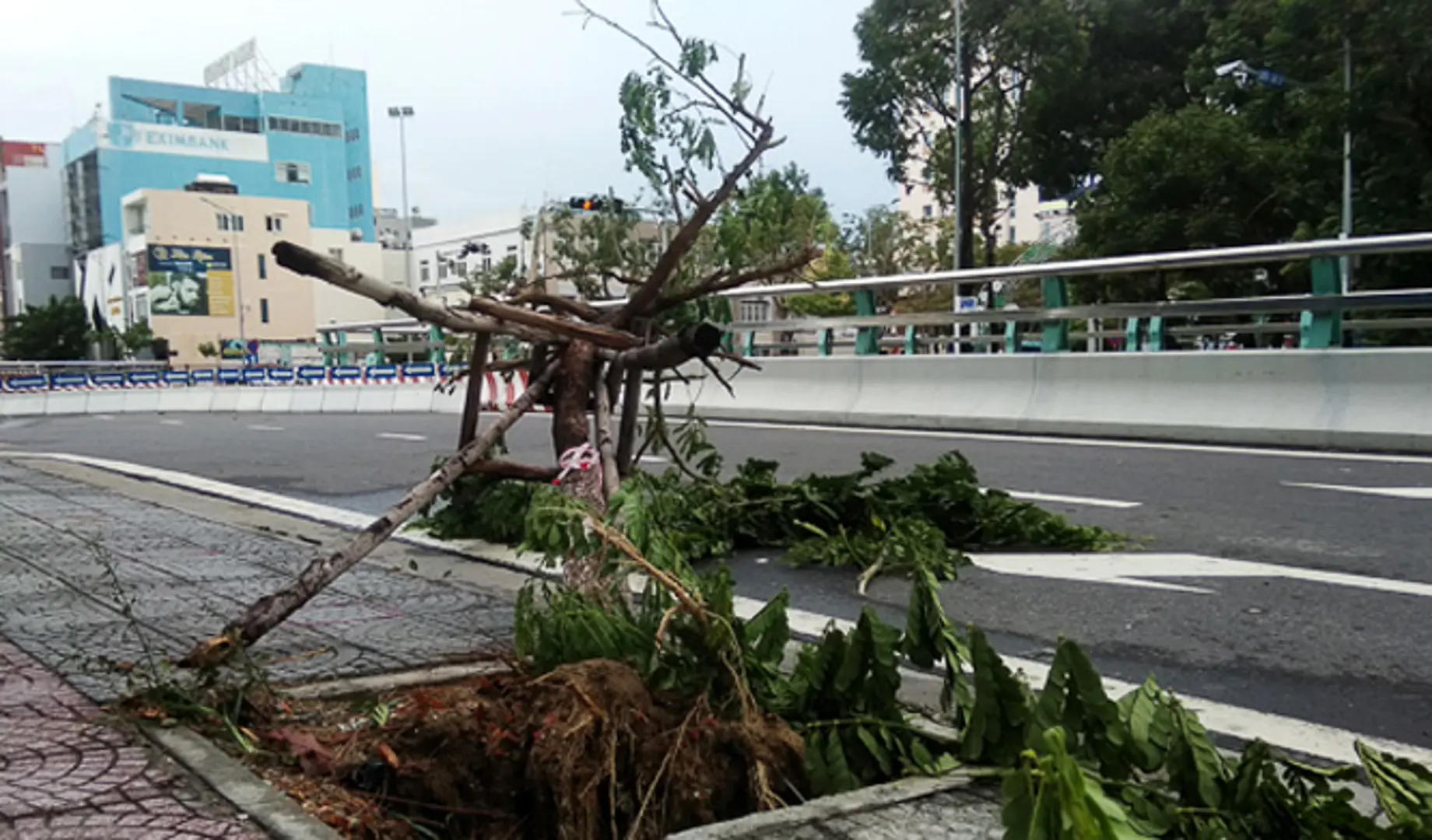 Bão số 5 tan, miền Trung mưa lớn trên diện rộng