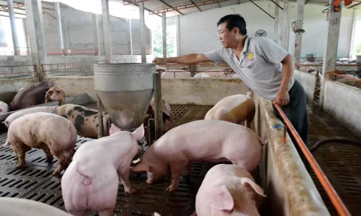 Tiêu dùng trong tuần: Giá vàng, thực phẩm và trái cây đồng loạt tăng mạnh