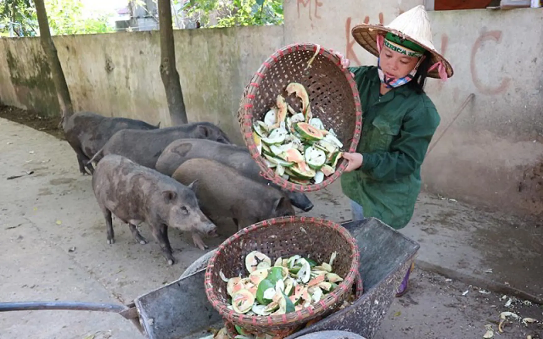 Gỡ khó cho kinh tế trang trại