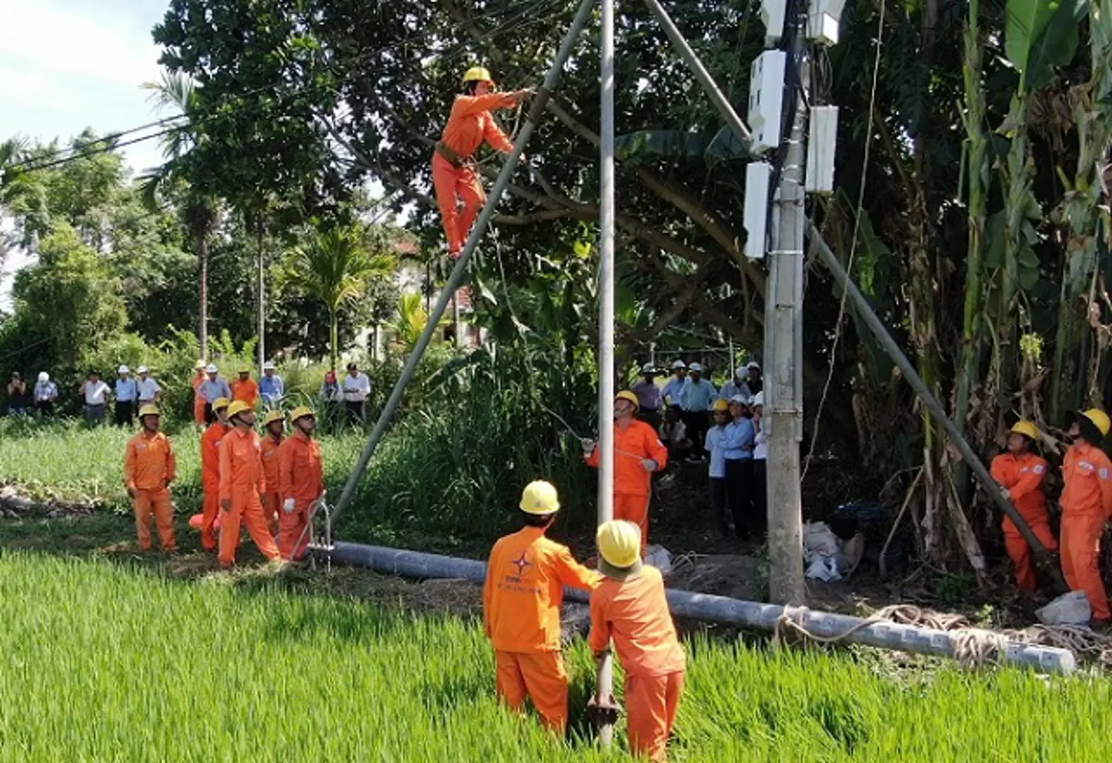 Điện lực Quảng Ngãi diễn tập phòng chống thiên tai và tìm kiếm cứu nạn