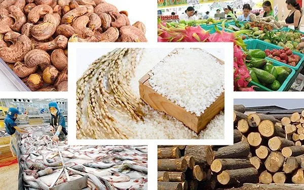 9 tháng, kim ngạch xuất nhập khẩu nông sản Việt Nam - Trung Quốc đạt 9,8 tỷ USD