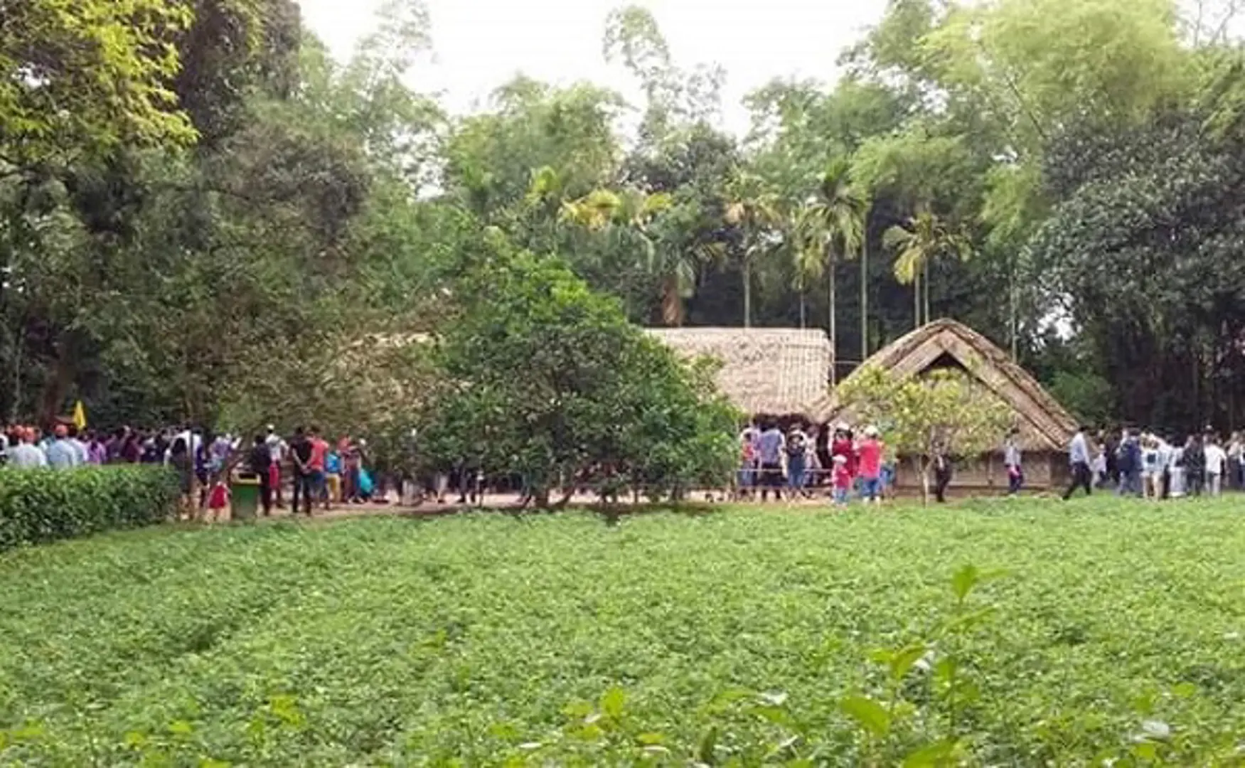 Bác Hồ - Một tình yêu lớn mãi mãi trong tôi