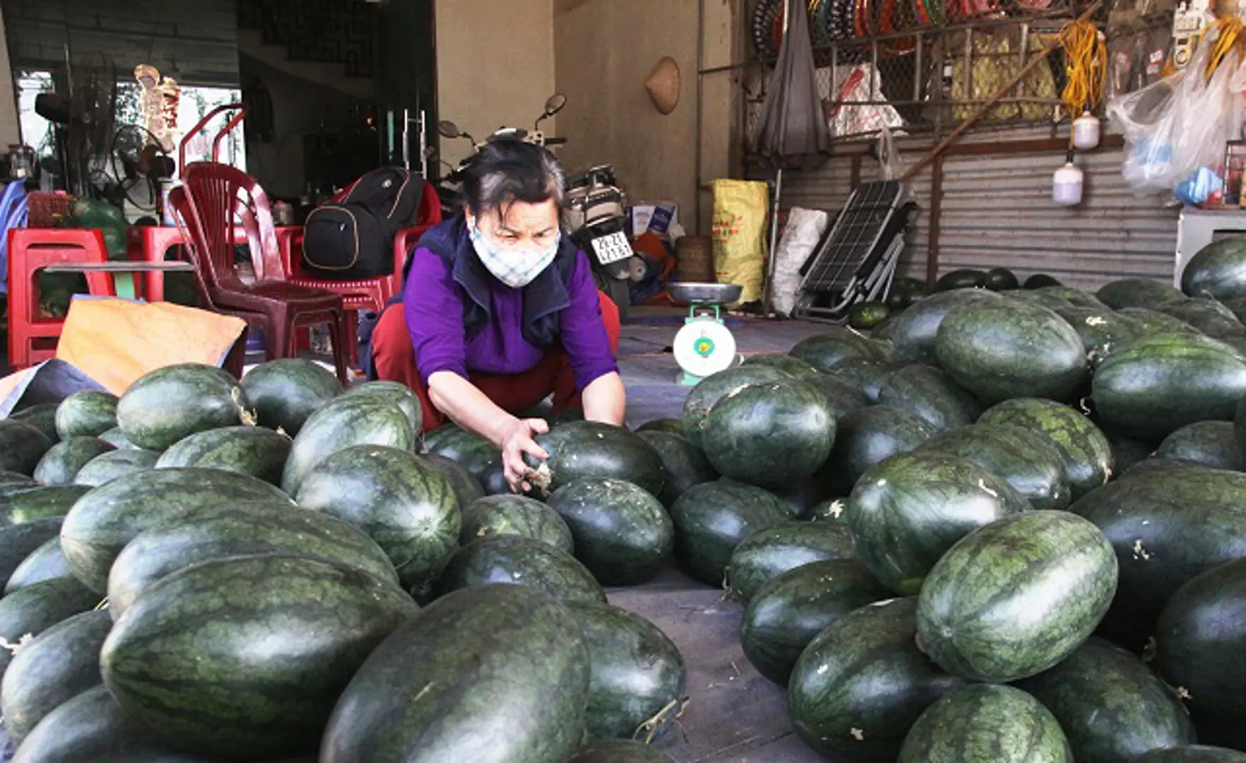 Xã Thanh Lâm, huyện Mê Linh: Khó dẹp chợ trái cây tự phát