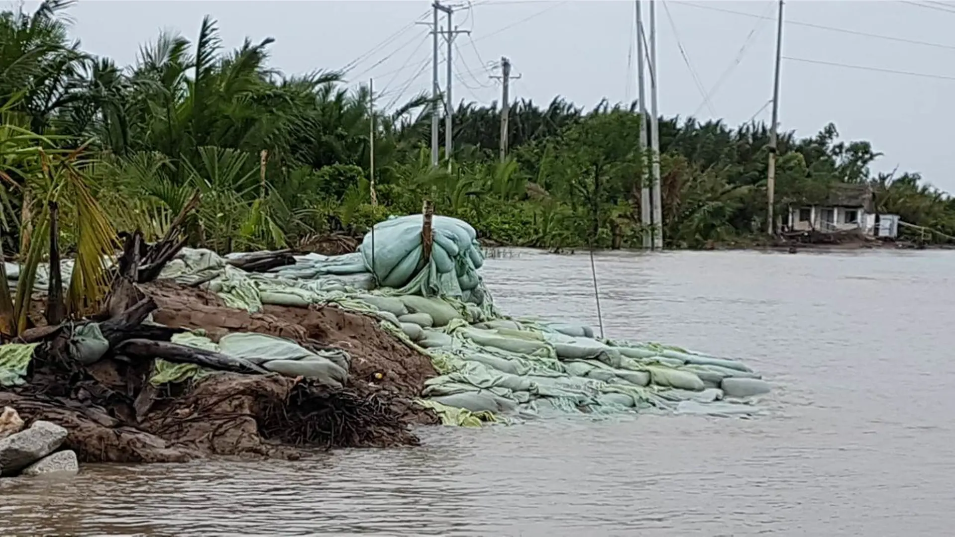 TP Hồ Chí Minh: Xem xét xử lý lãnh đạo Sở GTVT trong dự án bờ kè Tắc Sông Chà