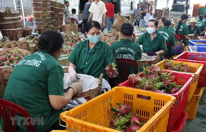 Xuất khẩu nông sản hậu Covid-19