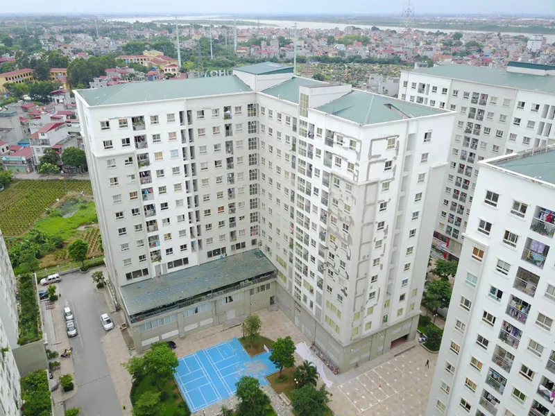 Nhào ở Xã hội ở Hà Nội