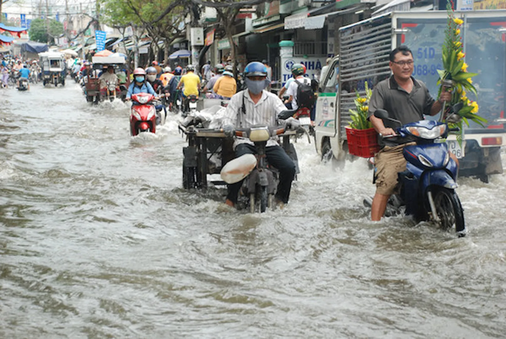 Đề xuất chống ngập cho TP Hồ Chí Minh bằng hóa chất