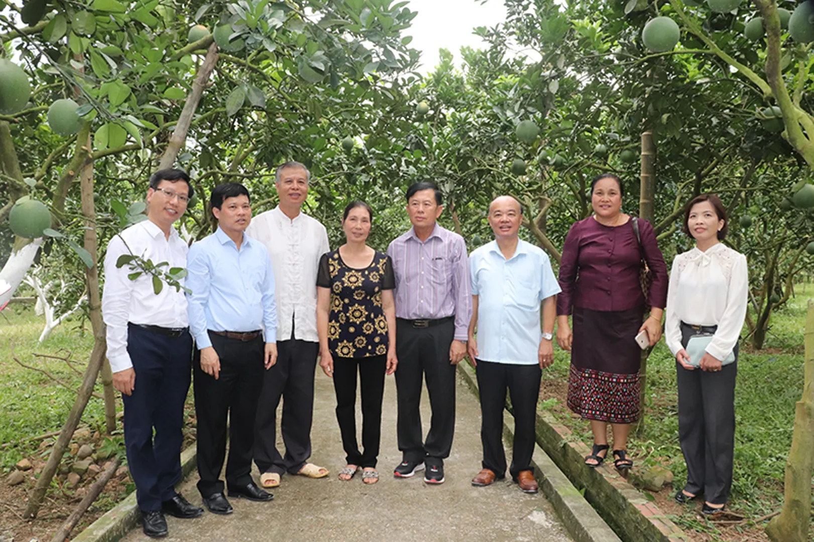 Việt Nam-Lào: Áp dụng các kỹ thuật, mô hình phát triển nông nghiệp tiên tiến