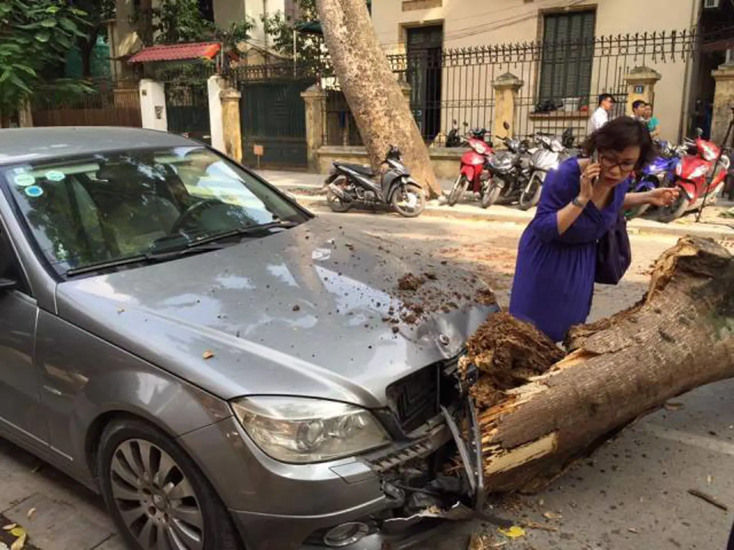 Hà Nội: Cây cổ thụ bất ngờ đổ đè bẹp 1 ô tô, 3 xe máy