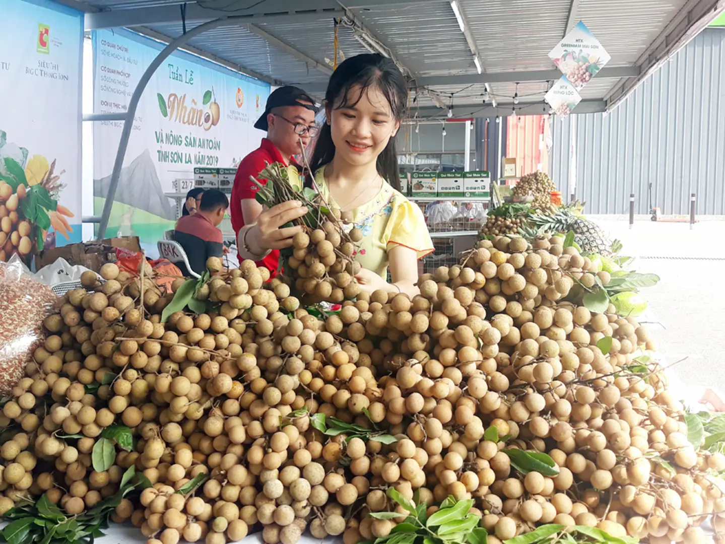 Đưa nhãn Sơn La đến với người tiêu dùng Thủ đô