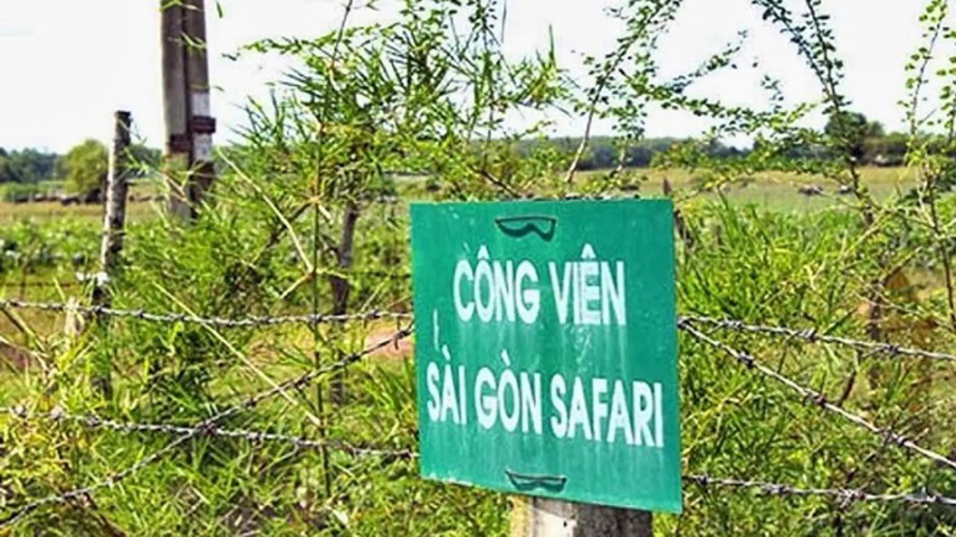 TP Hồ Chí Minh: Công bố kết luật thanh tra toàn diện dự án Sài Gòn Safari