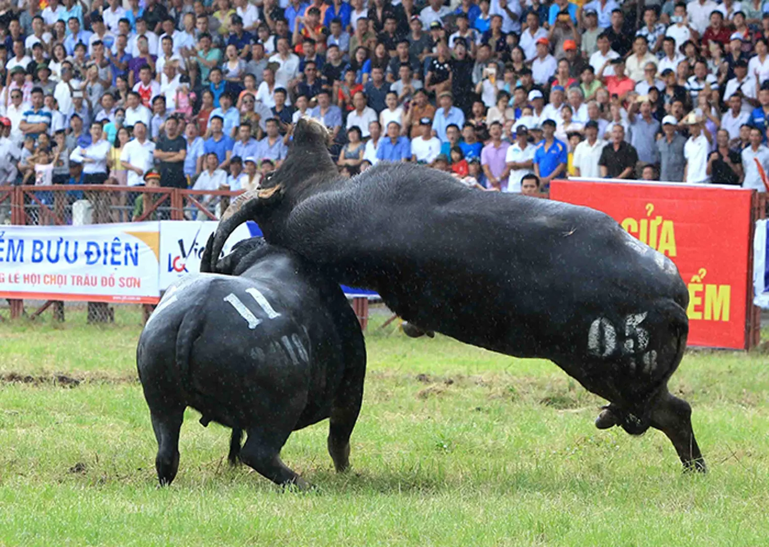 Biện pháp phòng từ xa cho lễ hội