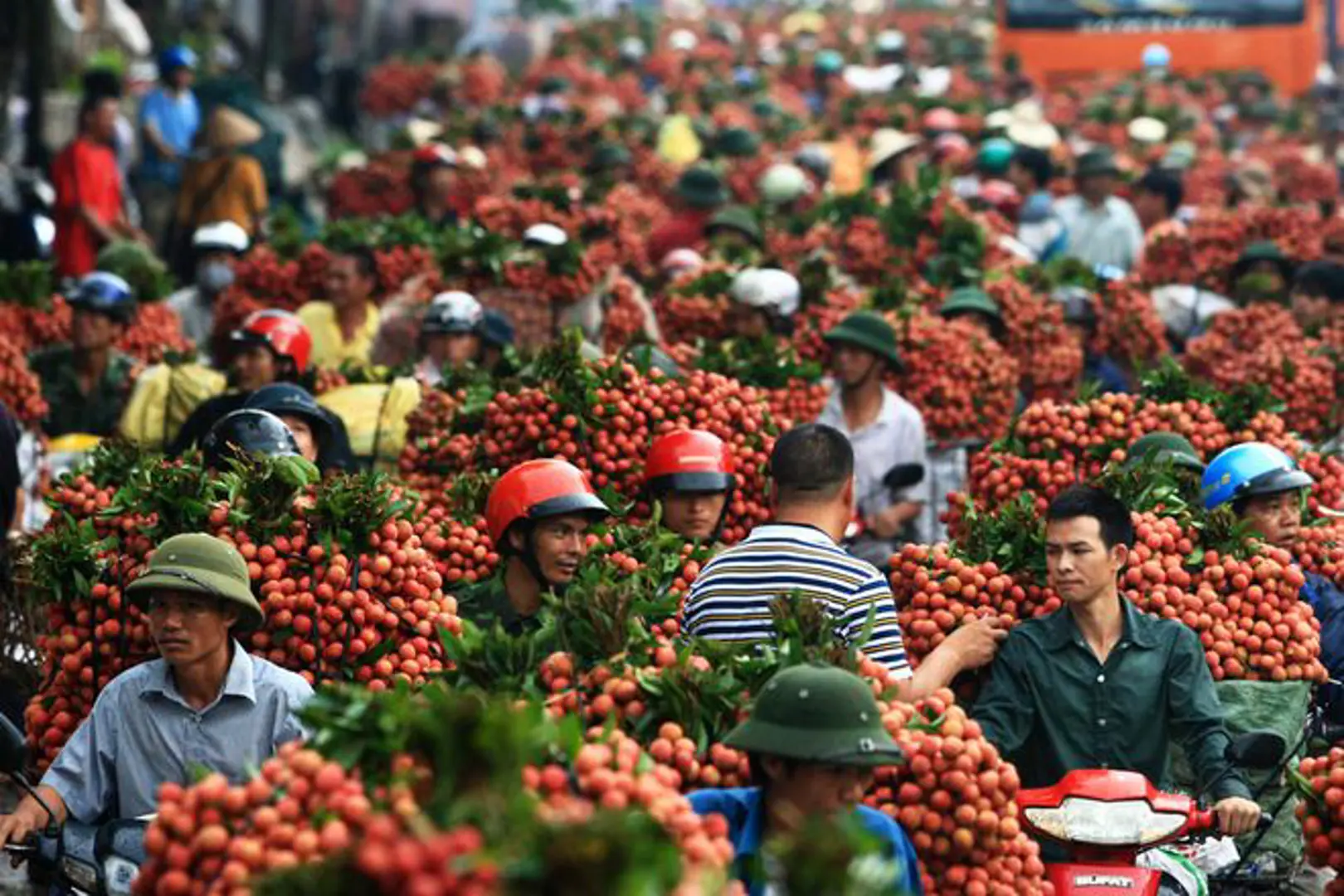 Thông tin cần biết cho doanh nghiệp xuất khẩu quả vải sang Trung Quốc năm 2019