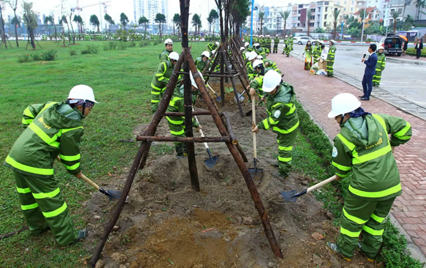 Nhân rộng phong trào trồng cây xanh