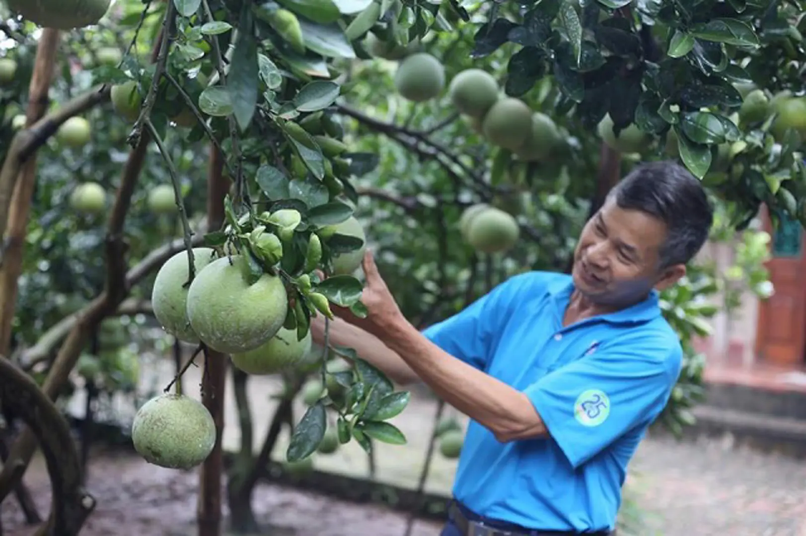 Xây dựng tổ hội nghề nghiệp: Hỗ trợ thúc đẩy chuyển đổi cơ cấu kinh tế