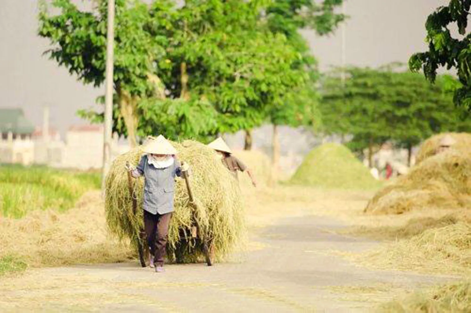 Đến khi nào Hà Nội mới là Thành phố không đốt rơm rạ?