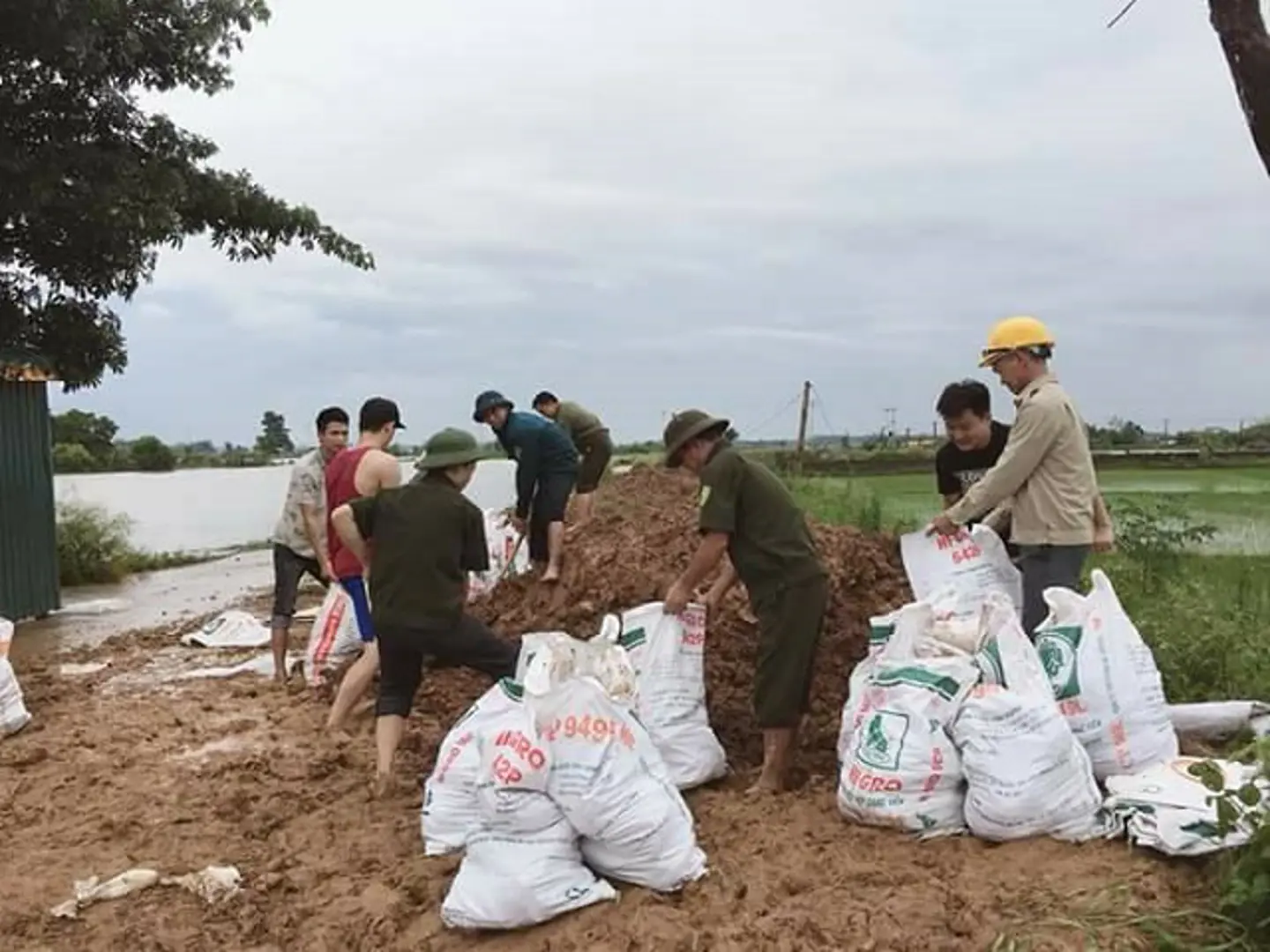 Mỹ Đức, Thạch Thất, Quốc Oai dồn lực ứng phó bão số 4