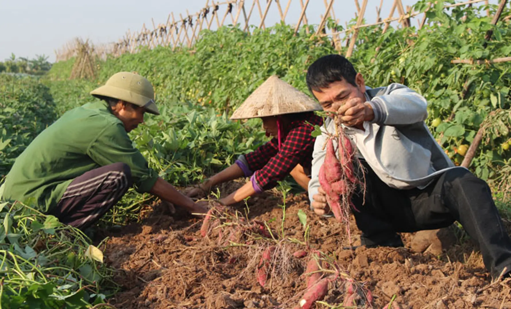 Đào tạo nghề cho người lao động tại Phú Xuyên: Bám sát nhu cầu người học