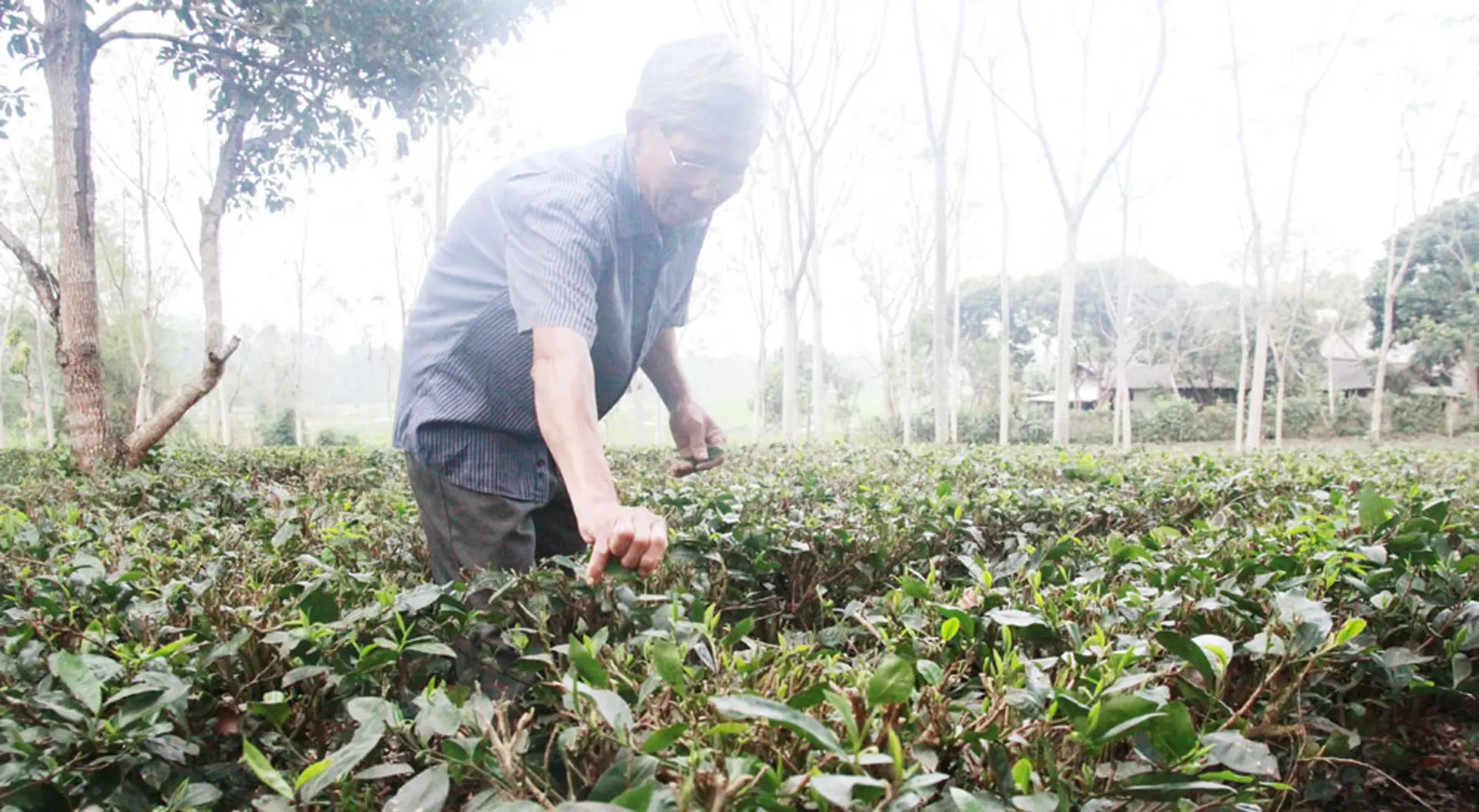 Điểm sáng Ba Trại