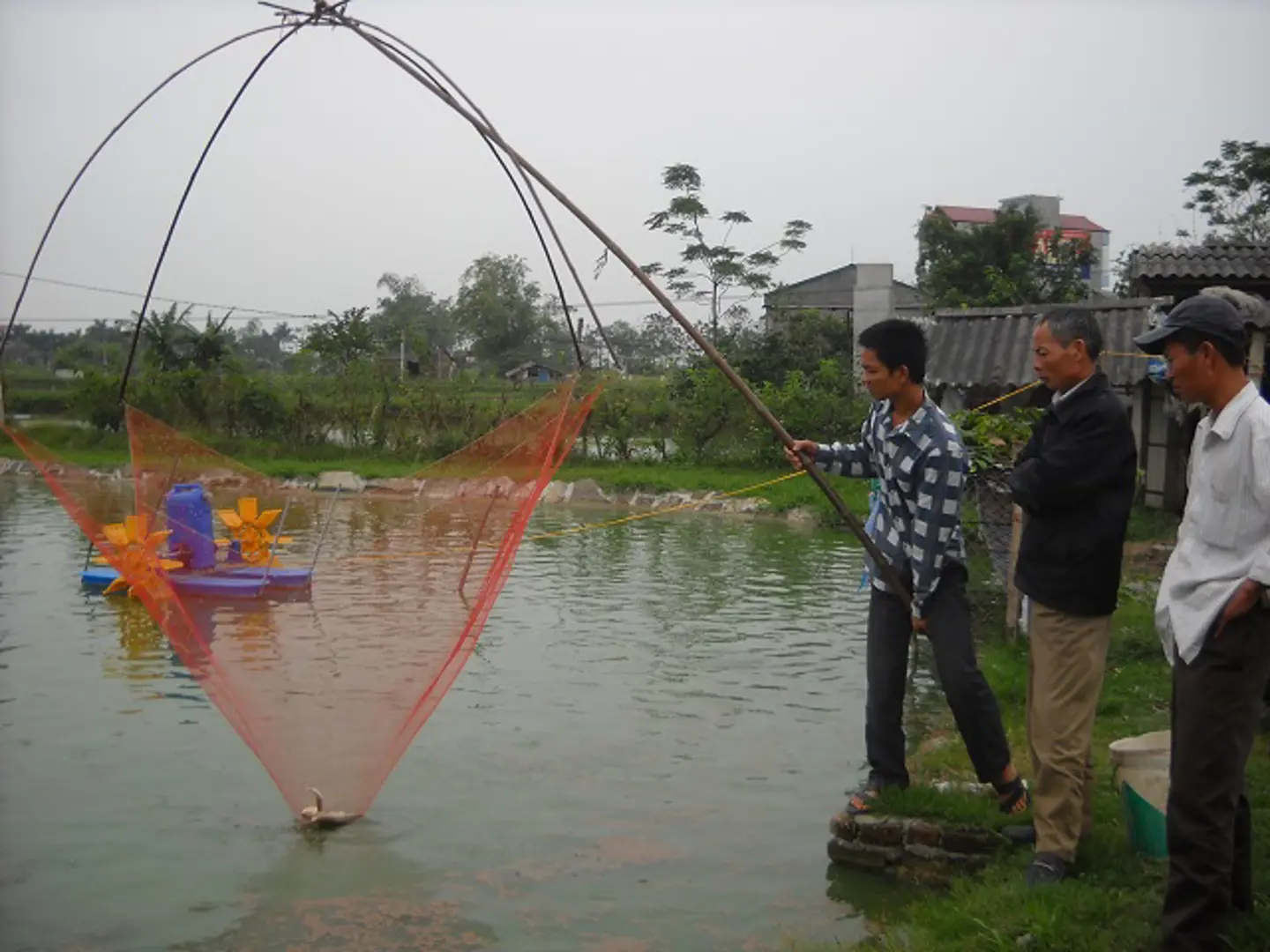 Thiếu nguồn nước sạch nuôi trồng thủy sản