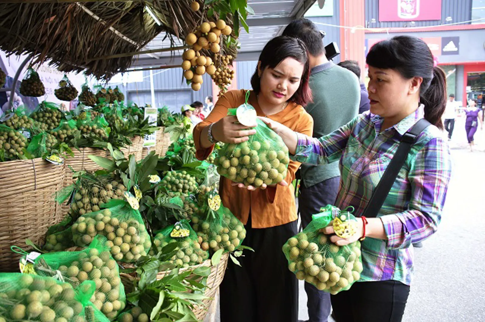 Áp lực tiêu thụ nhãn lồng