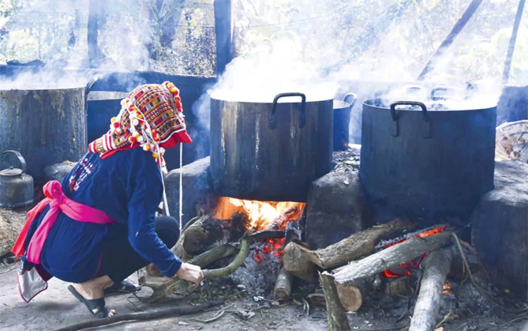 Thuốc nam của người Dao ở Ba Vì