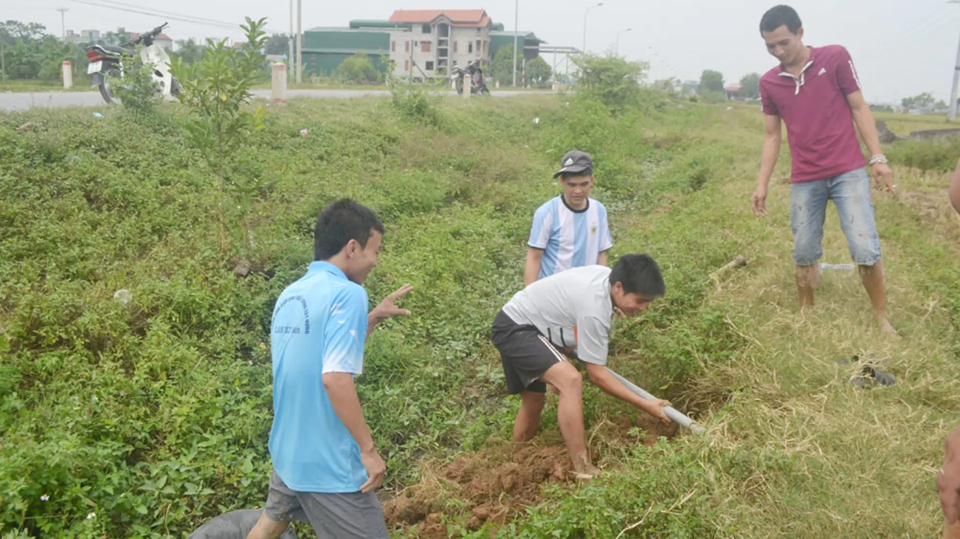 Kiếm tiền triệu từ chuột đồng