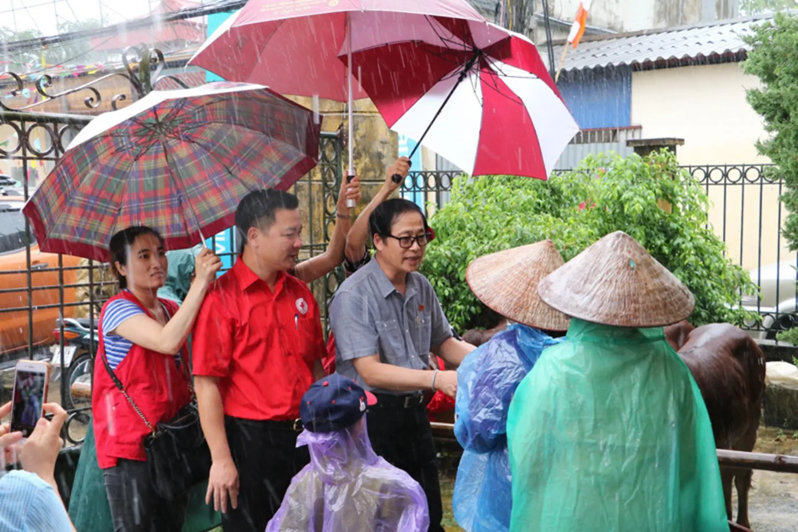 “Đội mưa” đi trao bò