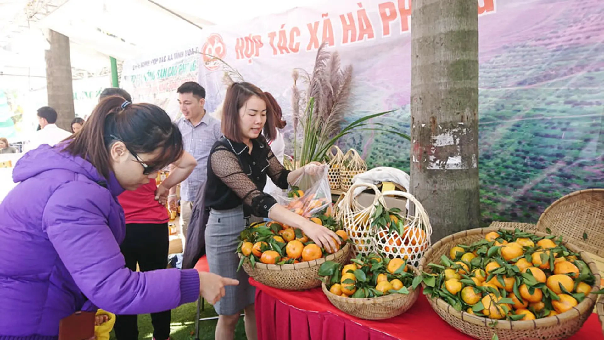 Siêu thị Co.opmart tổ chức Tuần lễ nông sản, thực phẩm tỉnh Hòa Bình năm 2019