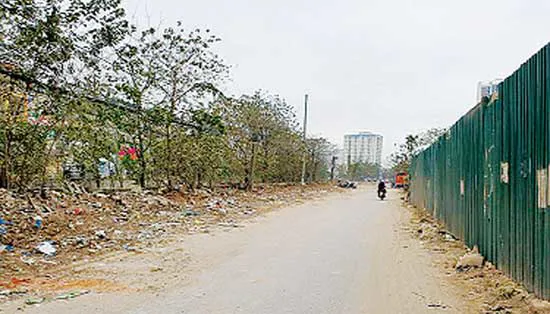 [Điểm nóng giao thông] Cần xử lý nghiêm việc xả rác trên đường Nguyễn Cảnh Dị kéo dài